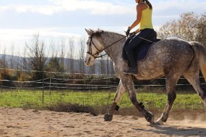 Ana Castro montando a Shamira